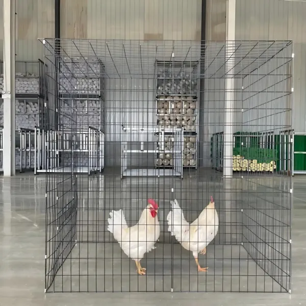 Foldable Cage for Poultry 2 Foldable Cage for Poultry 2