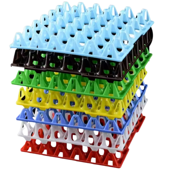 Plastic Egg Trays for Poultry